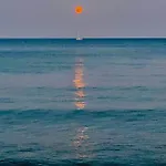 Bali 505 *